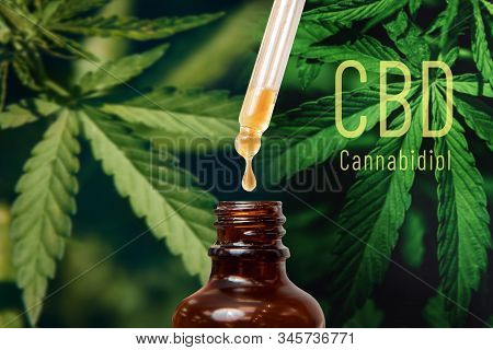 Cannabis Cbd Tnc Oil Extracts In Jars Herb And Leaves. Concept Medical Marijuana