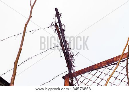 Rusty Barbed Wire On The Fence.