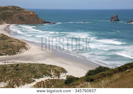 Sandfly Bay On Otago Peninsula. New Zealand