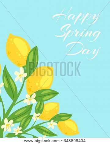 Spring Day Blossom Vector Photo Free Trial Bigstock