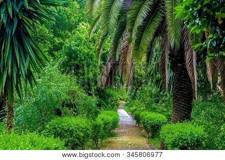 Tropical Garden In Sala Colonia And Islamic Complex Chellah, Mosque And Minaret. Chellah Is The Necr