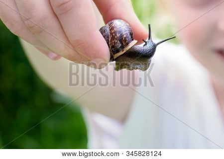 A Blurred Smiling Unrecognizable Girl Holding An Edible Snail Fructicicola Fruticum In Hand, Summer 
