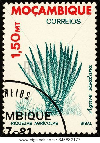 Moscow, Russia - January 18, 2020: Stamp Printed In Mozambique Shows Sisal Plant (agave Sisalana), S