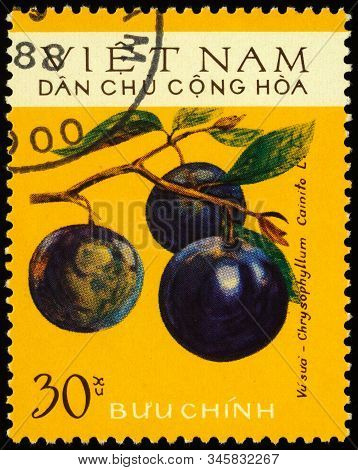 Moscow, Russia - January 18, 2020: Stamp Printed In Vietnam Shows Branch With Abiu Fruits (pouteria 