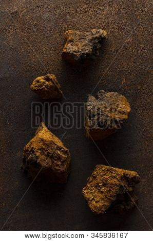 Chaga Mushroom Inonotus Obliquus On Dark Background