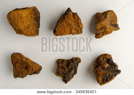 Chaga Mushroom Inonotus Obliquus On White Background