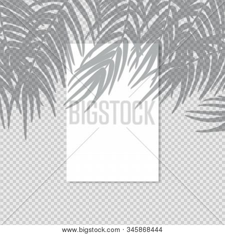 Transparent Shadow Effect
