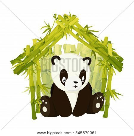 Cute Panda Bear Build From Bamboo Stems A Home In Rainforest