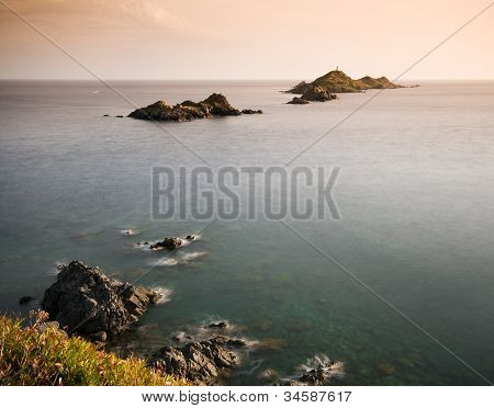 Isola di sanguinarie