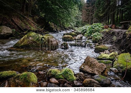 Mountain Stream In High Tatras National Park, Poland
