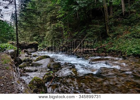 Mountain Stream In High Tatras National Park, Poland