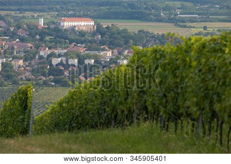 Siklos castle in Villany region with vineyards, Southern Hungary