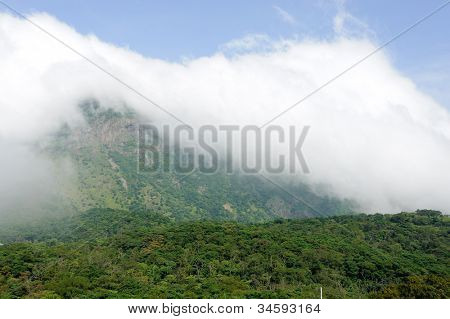 bergige Wald auf dem Hügel in der Nähe von Big Budda in Hongkong