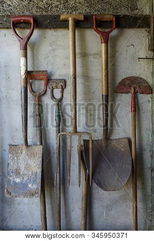 Old Gardening Tools Including Spades And Forks Hanging Against An Old Shed Wall