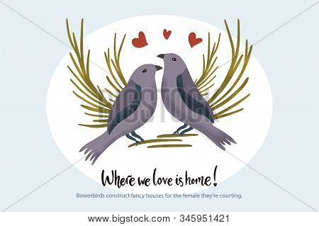 Happy Valentine Day Vector Textured Bowerbird Animal Card In A Flat Style With Quote And Real Facts 