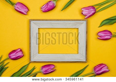 Pink Tulips And A White Empty Frame On Yellow Colour Background