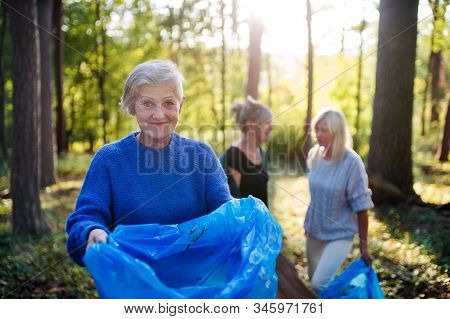 Senior Women Friends Picking Up Litter Outdoors In Forest A Plogging Concept.