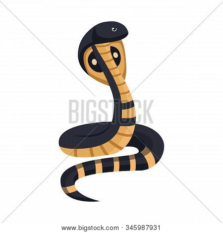 Vector Illustration Of Cobra And King Icon. Web Element Of Cobra And Head Stock Symbol For Web.