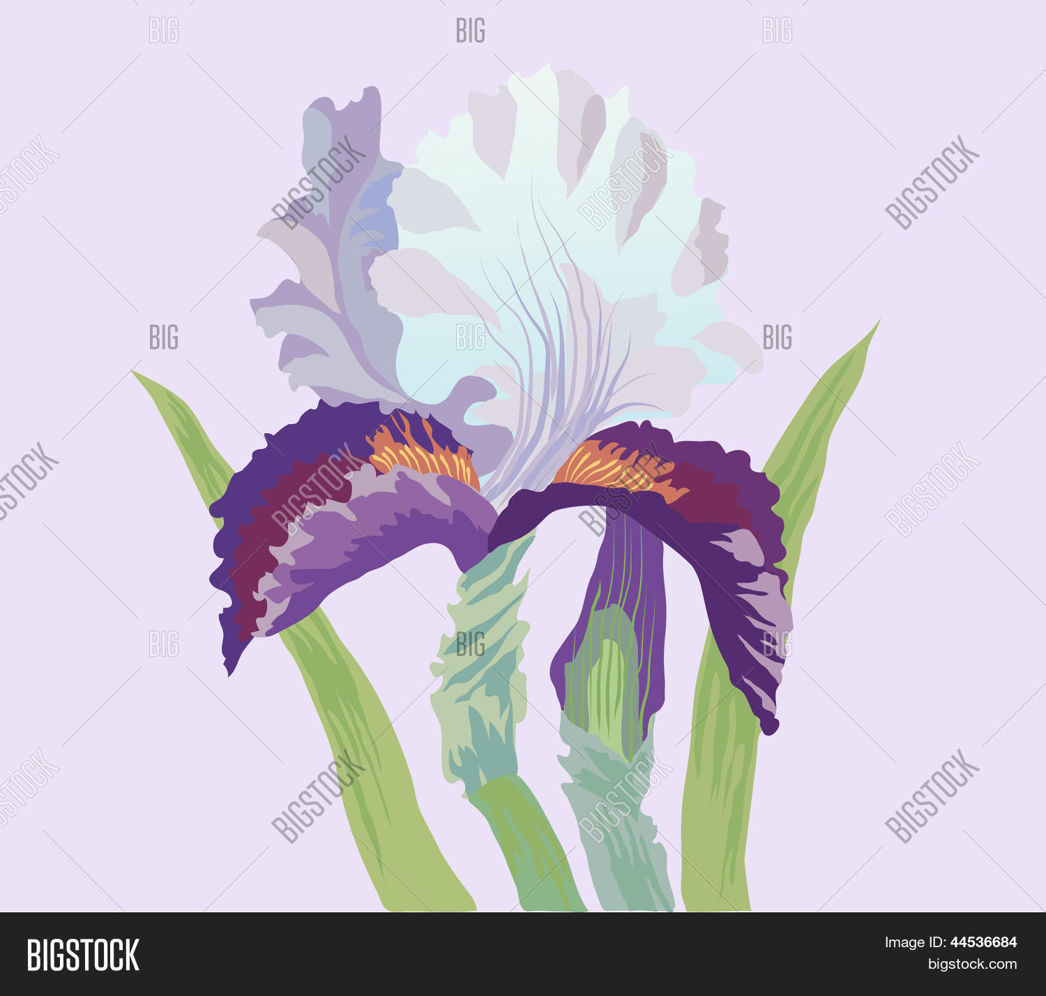 Image Preview