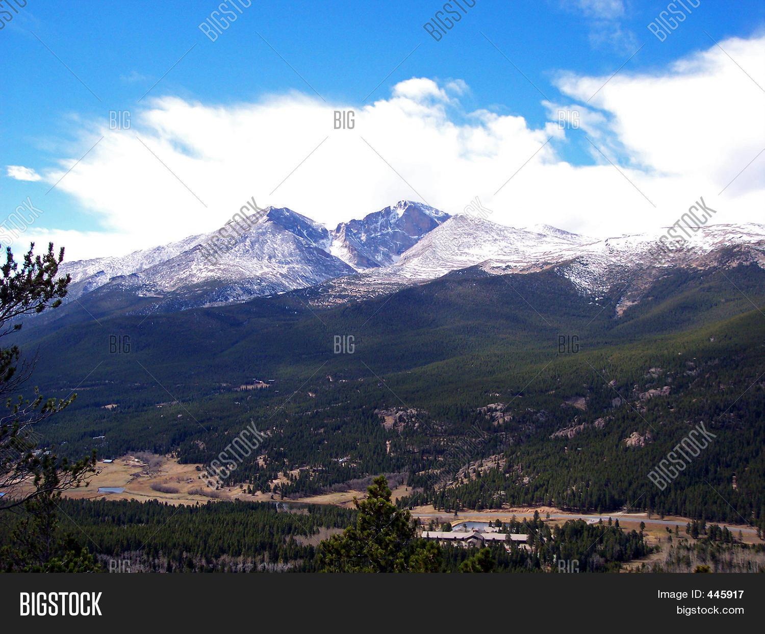 Image Preview