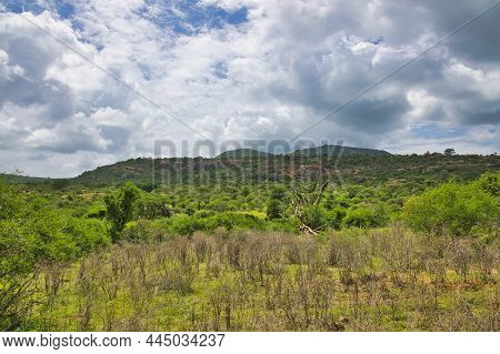 Landscape Pictures From The National Park Tsavo East Tsavo West And Amboseli