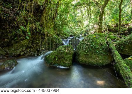 Long Exposure Of Small Wild Mountain River Rio Savegre. Stunning Landscape Of Wilderness And Pure Na
