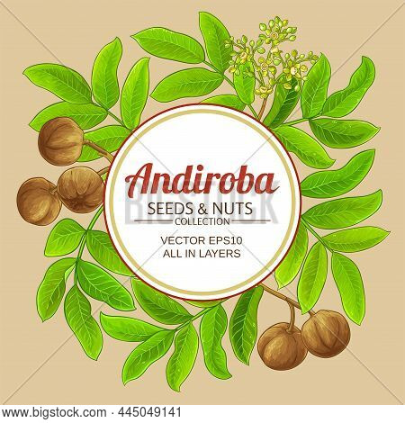 Andiroba Branches Vector Frame On Color Background