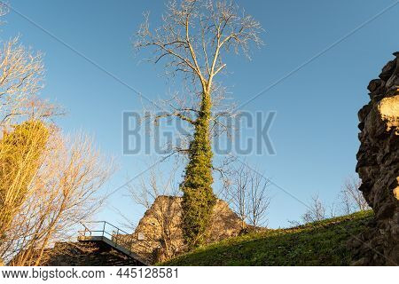 Schellenberg, Liechtenstein, December 31, 2021 Historic Old Castle Ruin From The Mid Age