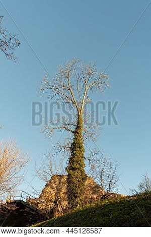 Schellenberg, Liechtenstein, December 31, 2021 Historic Old Castle Ruin From The Mid Age