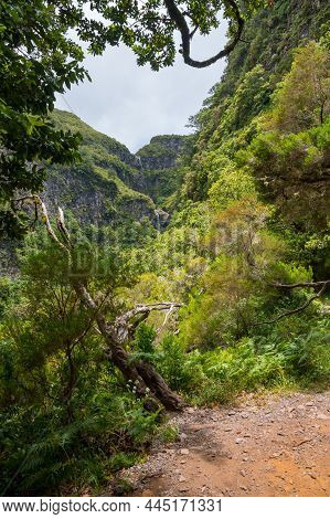 Spectacular Double Waterfall Falling Through Jungle Forest.