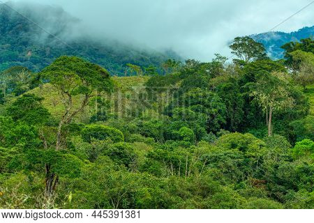 Dense Tropical Rain Forest With Low Clouds And Mist, Traditional Costa Rica Green Landscape