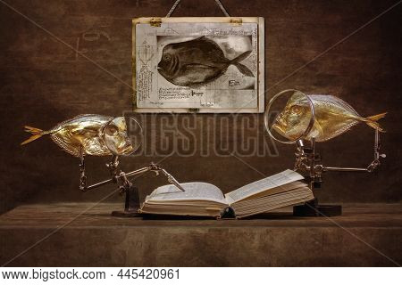 Still Life With Moonfish And An Open Book 