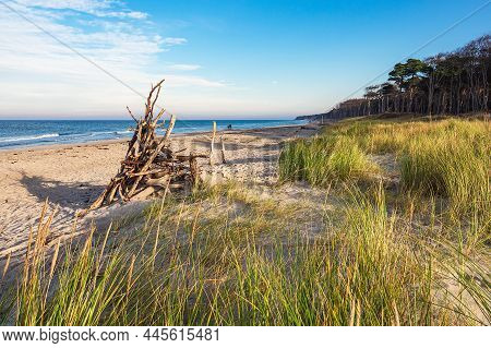 Trunks On The Beach Weststrand On The Baltic Sea Coast In Germany.