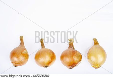 4 Heads Of Golden Onions On White Background. Studio Photo