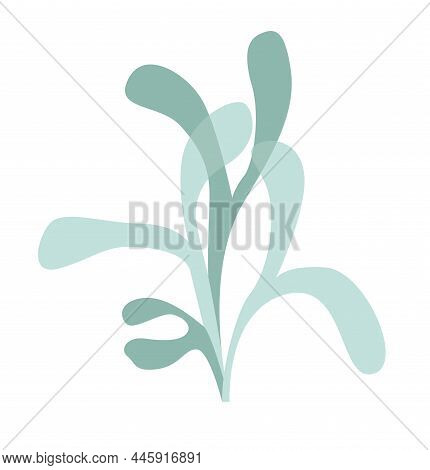 The Logo Of The Plant Kingdom, Algae, Seaweed, Lichen