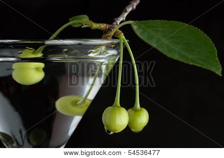 Unripe Green Cherry In Martini Glass On Black