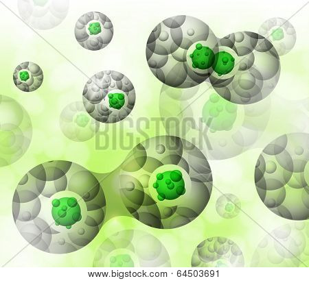 Cell Division