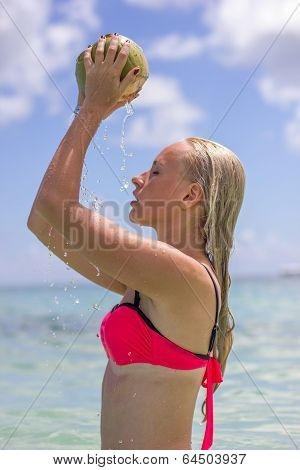 Coconat Milk