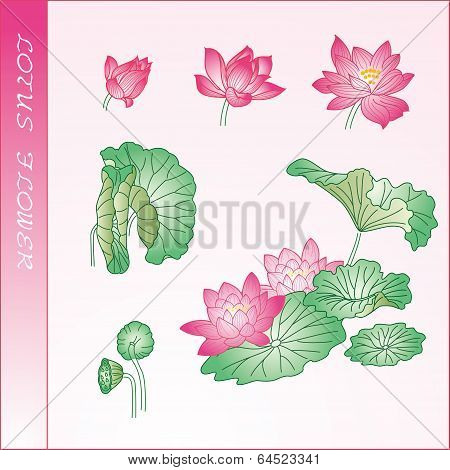 Lotus flower element
