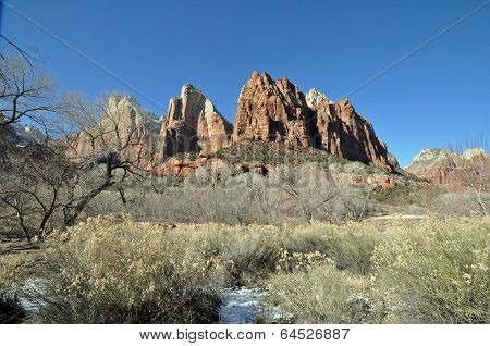 Zion national park