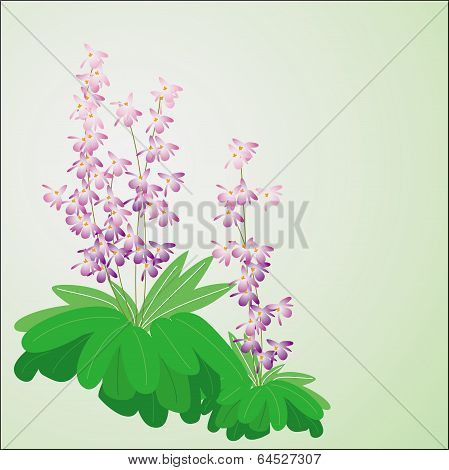 Flower pattern