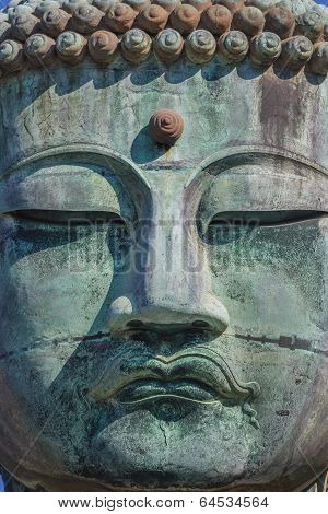 Daibutsu - The Great Buddha of Kotokuin Temple in Kamakura