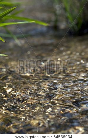 mountain stream waves macro