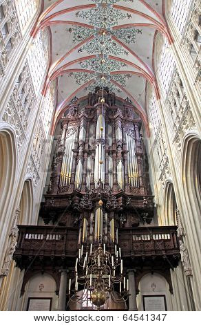 Interior of St. John's Cathedral at 's-Hertogenbosch - Netherlands