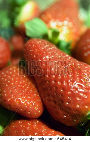 Nahaufnahme von Erdbeeren