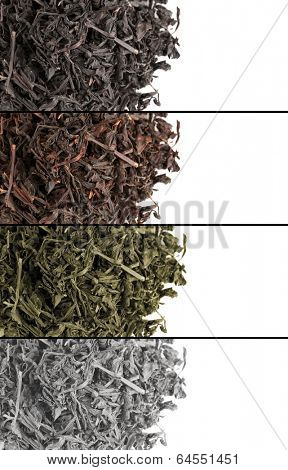 Collage of aromatic dry tea isolated on white