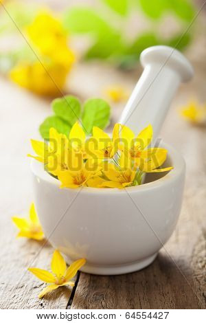 mortar with flowers and herbs for spa