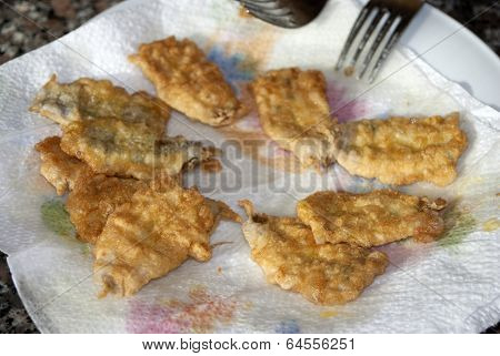 Fry of Anchovies