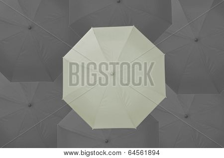 Umbrella