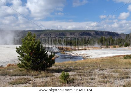 Yellowstone NP, Wyoming, Stati Uniti